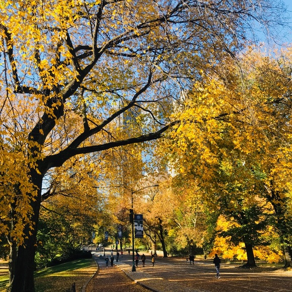 Meet your Posher, Wendy - Picture 1 of 1